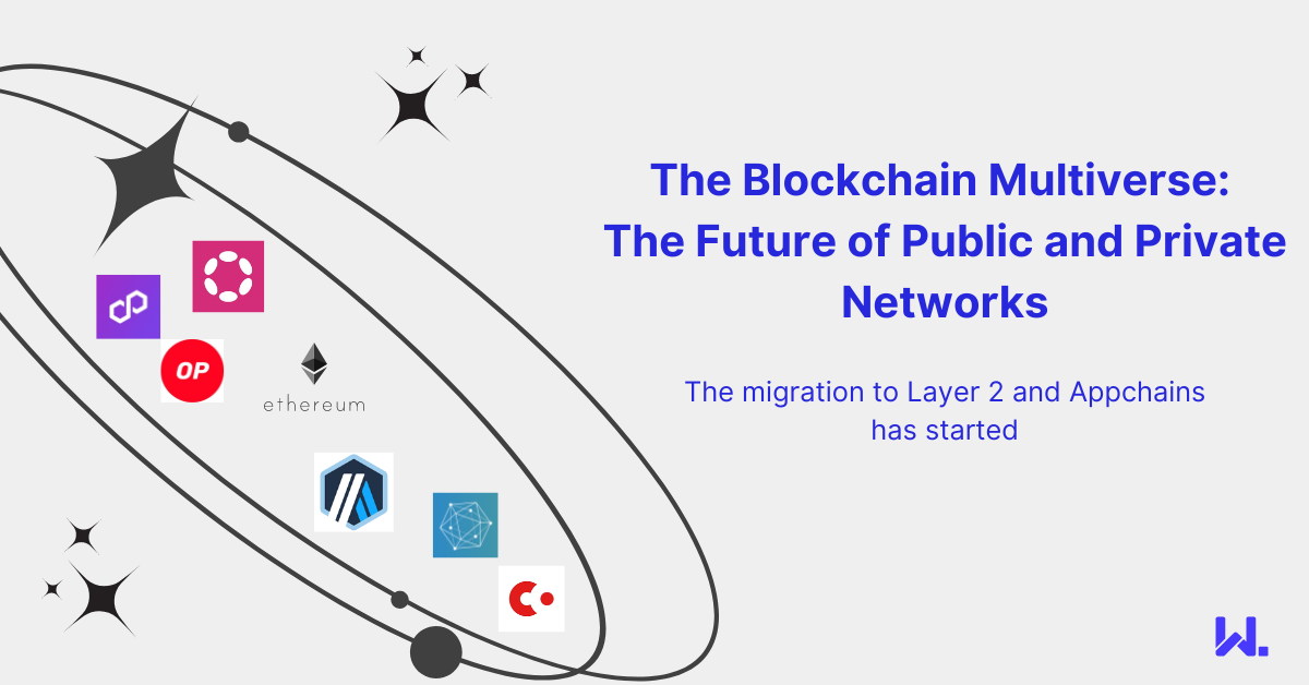 The Blockchain Multiverse: The Future of Public and Private Networks